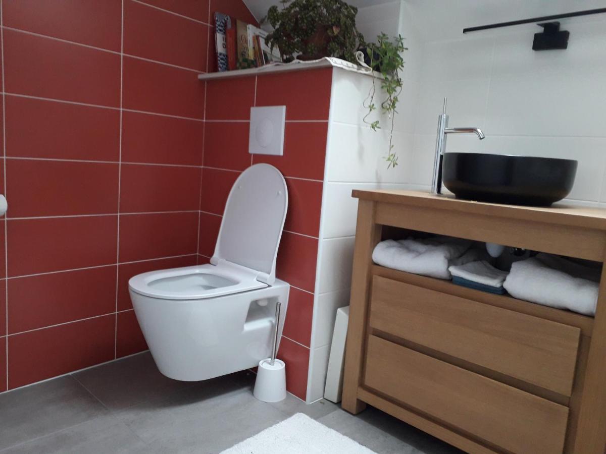 Gite Tante Aurore Et Chambres D'Hotes Chemery-Chehery Luaran gambar